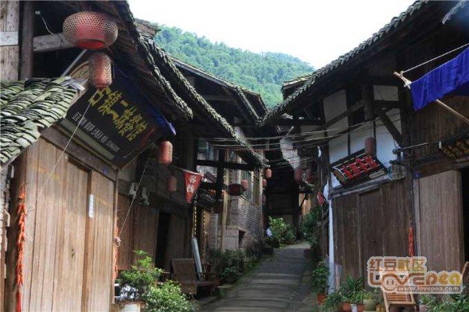 东侨新视野 台标